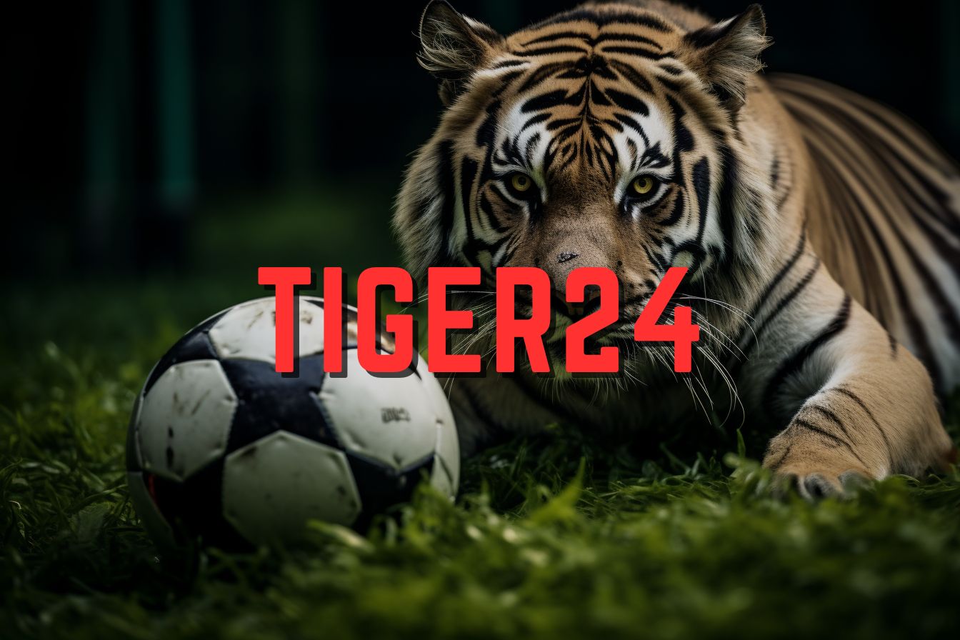 Tiger24: สมัครแทงบอลและมวยออนไลน์กับ TIGER24